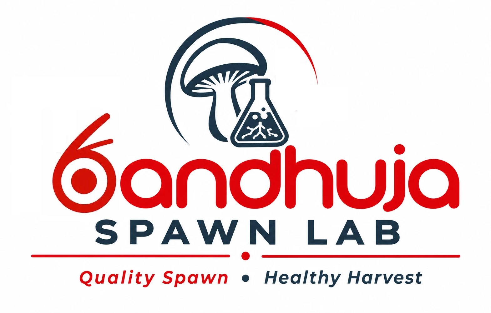Spawn Lab